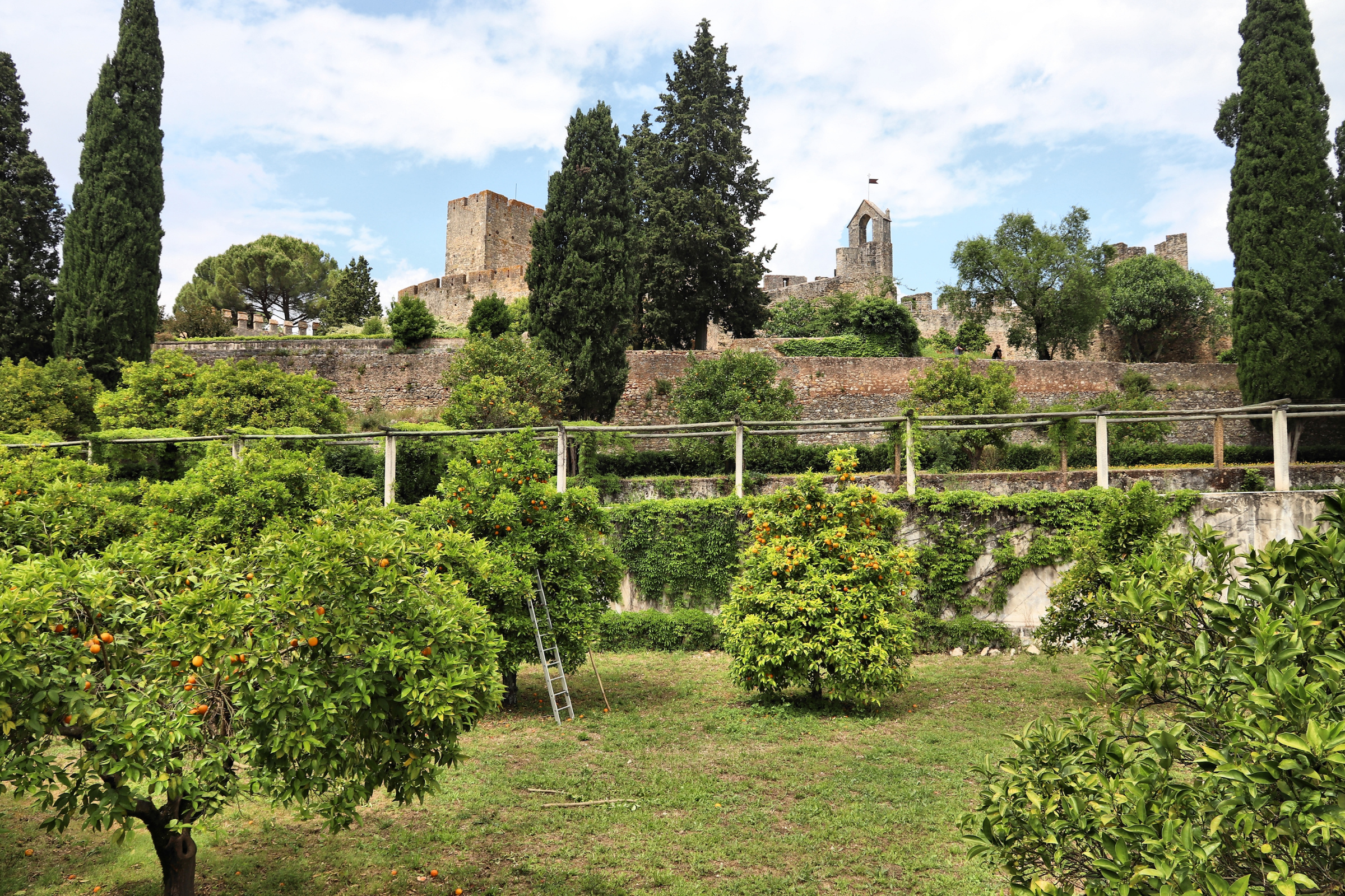 tomar (4).webp
